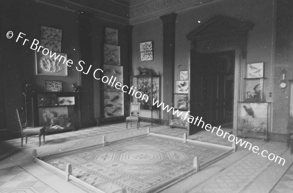 BALLYFIN HOUSE ENTRANCE HALL